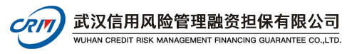 武汉信用风险管理融资担保有限公司